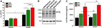 Airway Epithelial Inflammation In Vitro Augments the Rescue of Mutant CFTR by Current CFTR Modulator Therapies